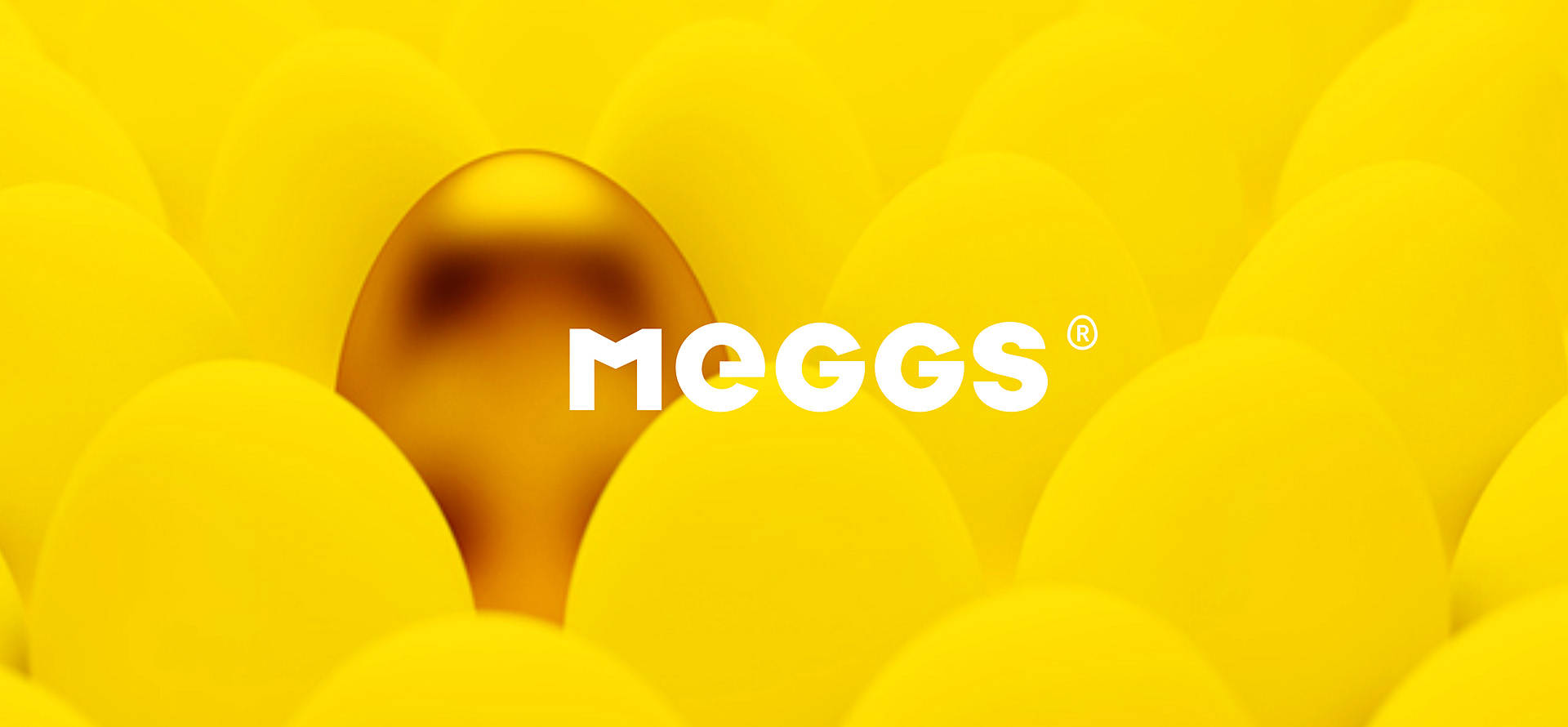 MEGGE-VI
